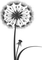 AI generated Silhouette Dandelions flower single black color only vector