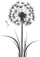 AI generated Silhouette Dandelions flower single black color only vector