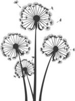 AI generated Silhouette Dandelions flower single black color only vector