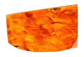 polished natural baltic amber gemstone isolated photo