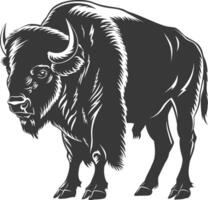 AI generated Silhouette bison animal black color only full body vector