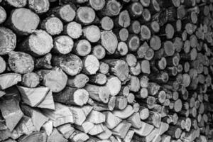 Photography on theme big wall of stacked oak tree logs in cracks photo