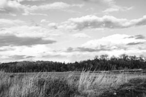 Photography on theme big empty farm field for organic harvest photo