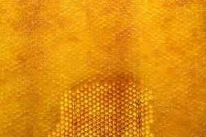 Drop of bee honey drip from hexagonal honeycombs filled with golden nectar photo