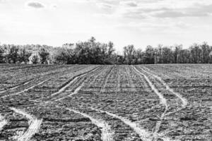 fotografía sobre el tema gran campo agrícola vacío para la cosecha orgánica foto