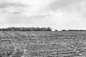 Photography on theme big empty farm field for organic harvest photo