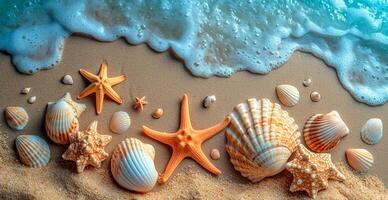 ai generado mar, Oceano paisaje, muchos diferente conchas, estrella de mar y Oceano habitantes - ai generado imagen foto