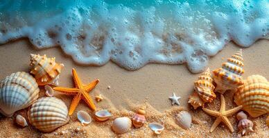 AI generated Sea, ocean landscape, many different shells, starfish and ocean inhabitants - AI generated image photo