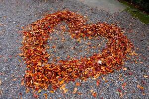 A heart shaped surrounded red leaves on the ground in autumn photo