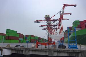 Industrial cranes and a large ship near the container wharf cloudy day wide shot photo