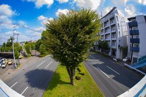 A empty urban street in Tokyo fish eye shot photo