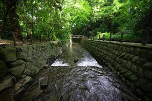 A small valley near the river in Todoroki Tokyo wide shot photo