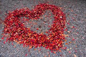 A heart shaped surrounded red leaves on the ground in autumn photo