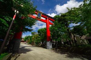 Main gate Torii at Tomioka Shrine wide shot photo