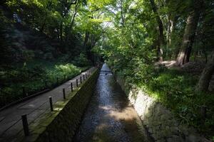 A small valley near the river in Todoroki Tokyo wide shot photo