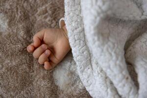 A right hand of sleeping asian baby on the carpet photo