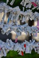 A fortune telling slip at Tomioka Shrine closeup photo
