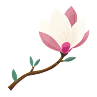 ai gegenereerd een gestileerde magnolia bloeien weergegeven in zacht roze tonen met subtiel polka dots siert een donker Afdeling png