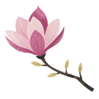 ai gegenereerd een gestileerde magnolia bloeien weergegeven in zacht roze tonen met subtiel polka dots siert een donker Afdeling png