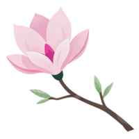 ai generado un estilizado magnolia floración prestados en suave rosado tonos con sutil polca puntos adorna un oscuro rama png