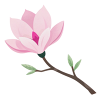 ai généré une stylisé magnolia Floraison rendu dans doux rose tons avec subtil polka points orne une foncé branche png