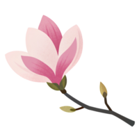 AI generated A stylized magnolia bloom rendered in soft pink tones with subtle polka dots adorns a dark branch png