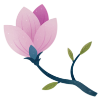 ai generato un' stilizzato magnolia fioritura reso nel morbido rosa toni con delicato polka puntini adorna un' buio ramo png