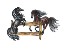 Horses near a wooden fence. Hand-drawn watercolor illustration. The horses get up and gallop. Isolate. For printing and stickers. For postcards, business cards and packaging. For banners, poster. png