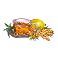 Sea buckthorn tea. Glass cup with vitamin tea, lemon and honey spoon. Watercolor illustration. For invitations, banners, packaging and menus. For pharmaceutical labels. png