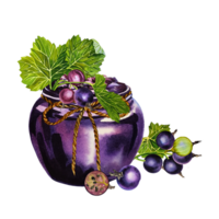 A jar of blackcurrant jam. Watercolor illustration drawn by hand. Isolate. For labels, packaging and banners. For textiles, prints and stickers. For menus, invitation cards. png