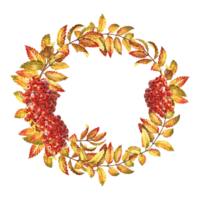 A wreath of autumn mountain ash. The watercolor is hand-drawn. Artistic, color, colorized illustration. Isolate. For labels, packages. For example, printed products. For postcards, posters and banners png