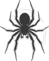 AI generated Silhouette spider animal black color only vector