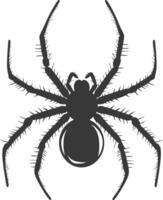 AI generated Silhouette spider animal black color only vector