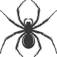 ai generado silueta araña animal negro color solamente vector