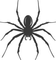 AI generated Silhouette spider animal black color only vector