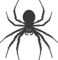 AI generated Silhouette spider animal black color only vector