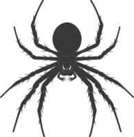 ai generado silueta araña animal negro color solamente vector