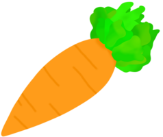 carota elemento icona png