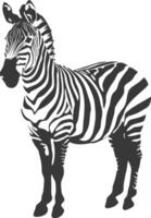 AI generated Silhouette zebra animal black color only vector