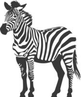 AI generated Silhouette zebra animal black color only vector