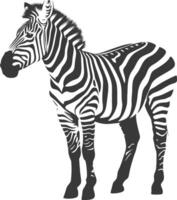 AI generated Silhouette zebra animal black color only vector