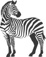 AI generated Silhouette zebra animal black color only vector