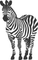 AI generated Silhouette zebra animal black color only vector