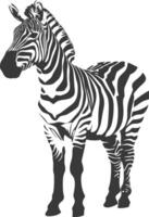 AI generated Silhouette zebra animal black color only vector