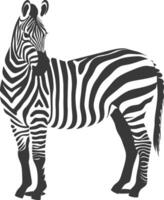 AI generated Silhouette zebra animal black color only vector