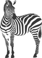 AI generated Silhouette zebra animal black color only vector