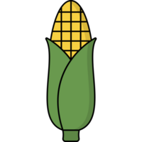 Corn Illustration Isolated PNG