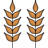 Wheat Illustration Isolated PNG