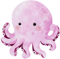 Watercolor hand drawn illustration of octopus in pink color png