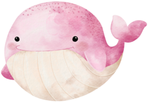 Watercolor hand drawn illustration of Whale in pink color png